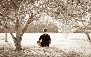 By Sebastien Wiertz from Belgium (Meditation) [CC BY 2.0 (http://creativecommons.org/licenses/by/2.0)], via Wikimedia Commons